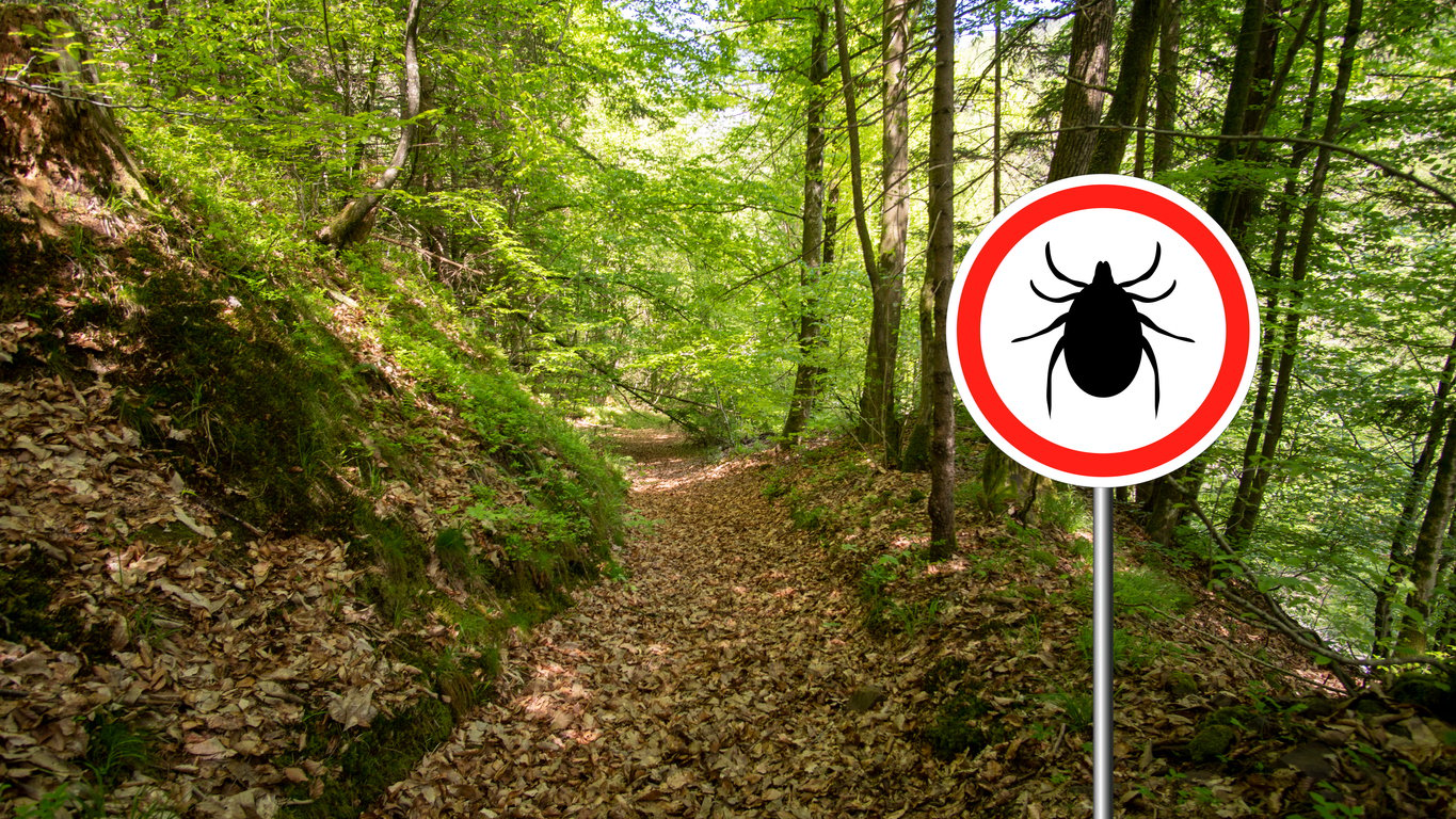 Beware of ticks forest sign