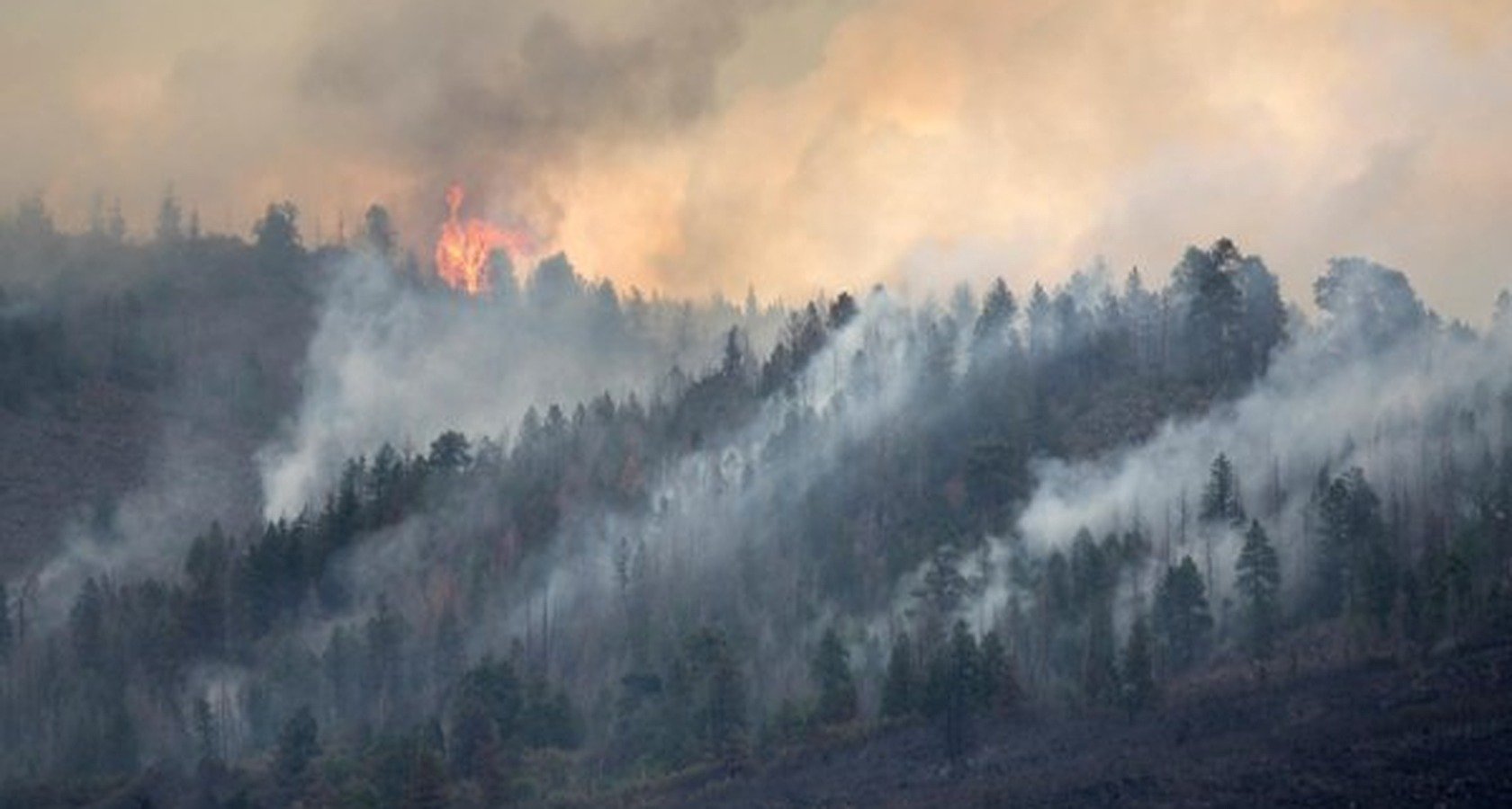 Harmful Health Effects of Air Pollutants from Wildfire Smoke Exposure