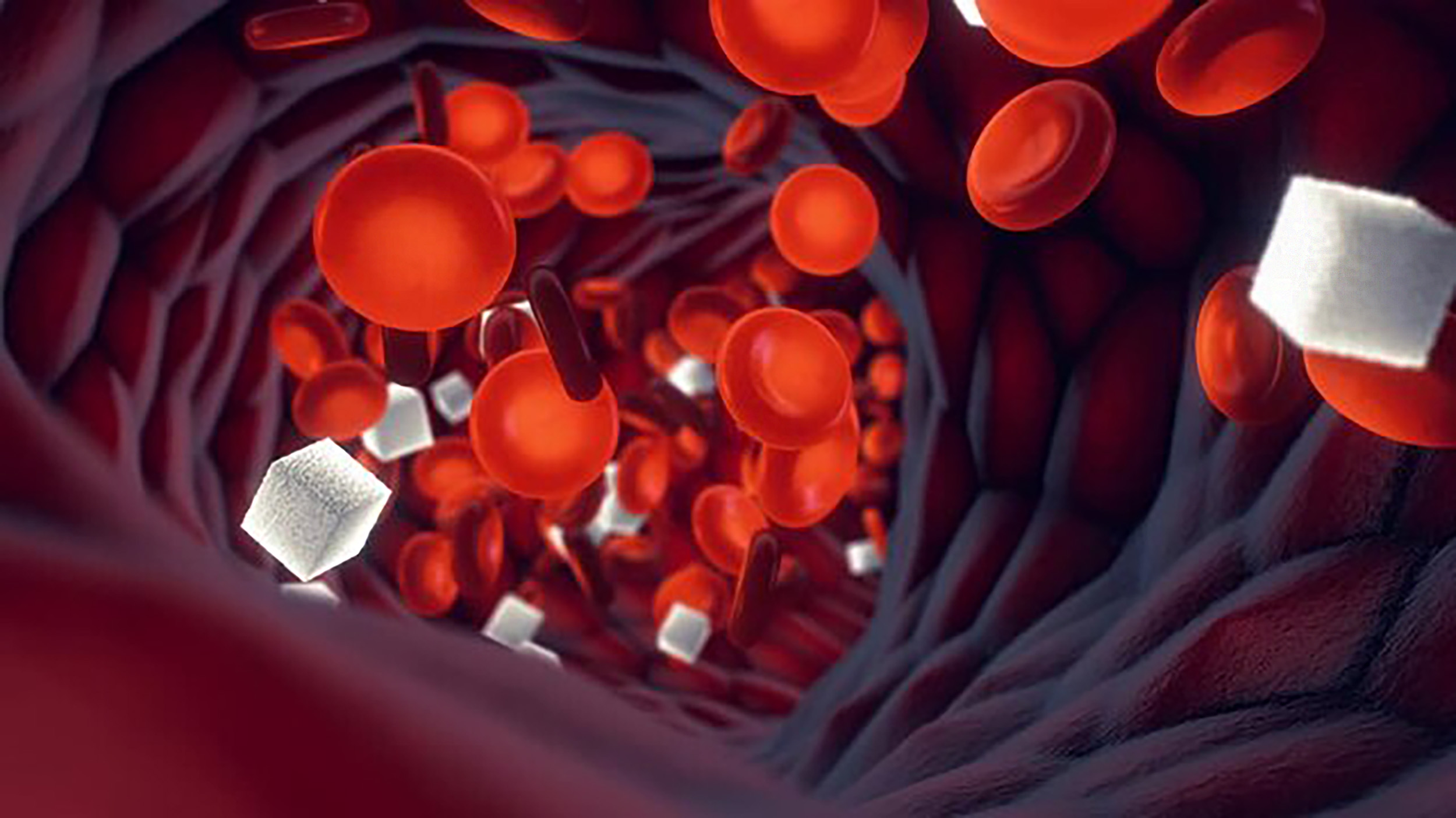 How Blood Sugar Shapes Your Cardiovascular Future