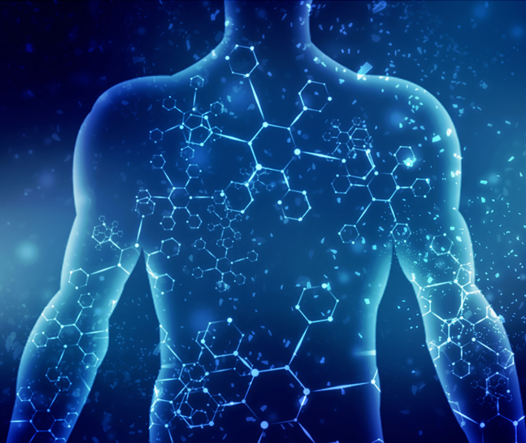 The Longevity Blueprint