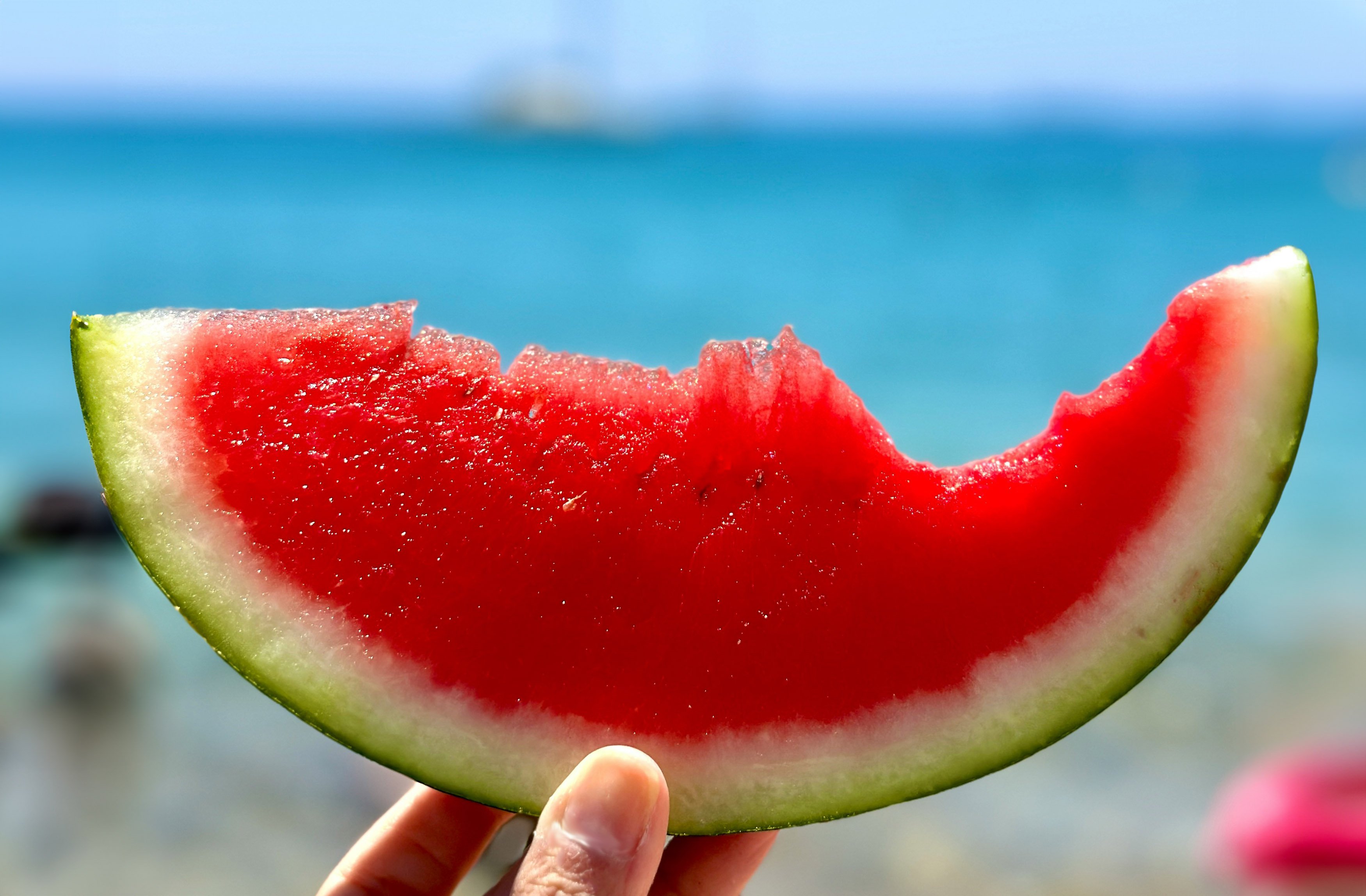 The Functional Medicine Guide to a Gut-Healing Summer